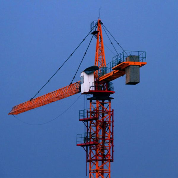 Hammerhead Crane - Imagen 4