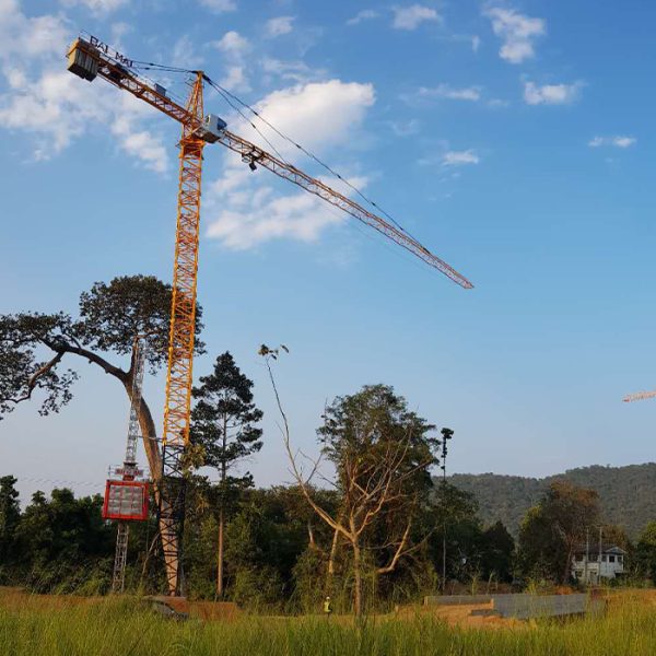 Hammerhead Crane – Image 2